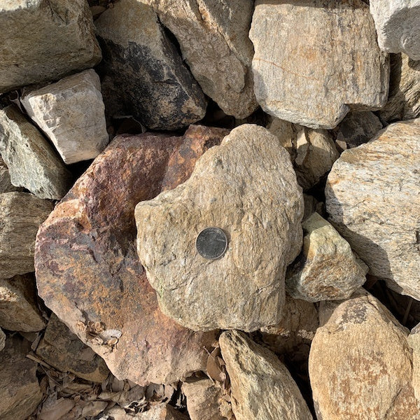 Palomino Gold Rip Rap