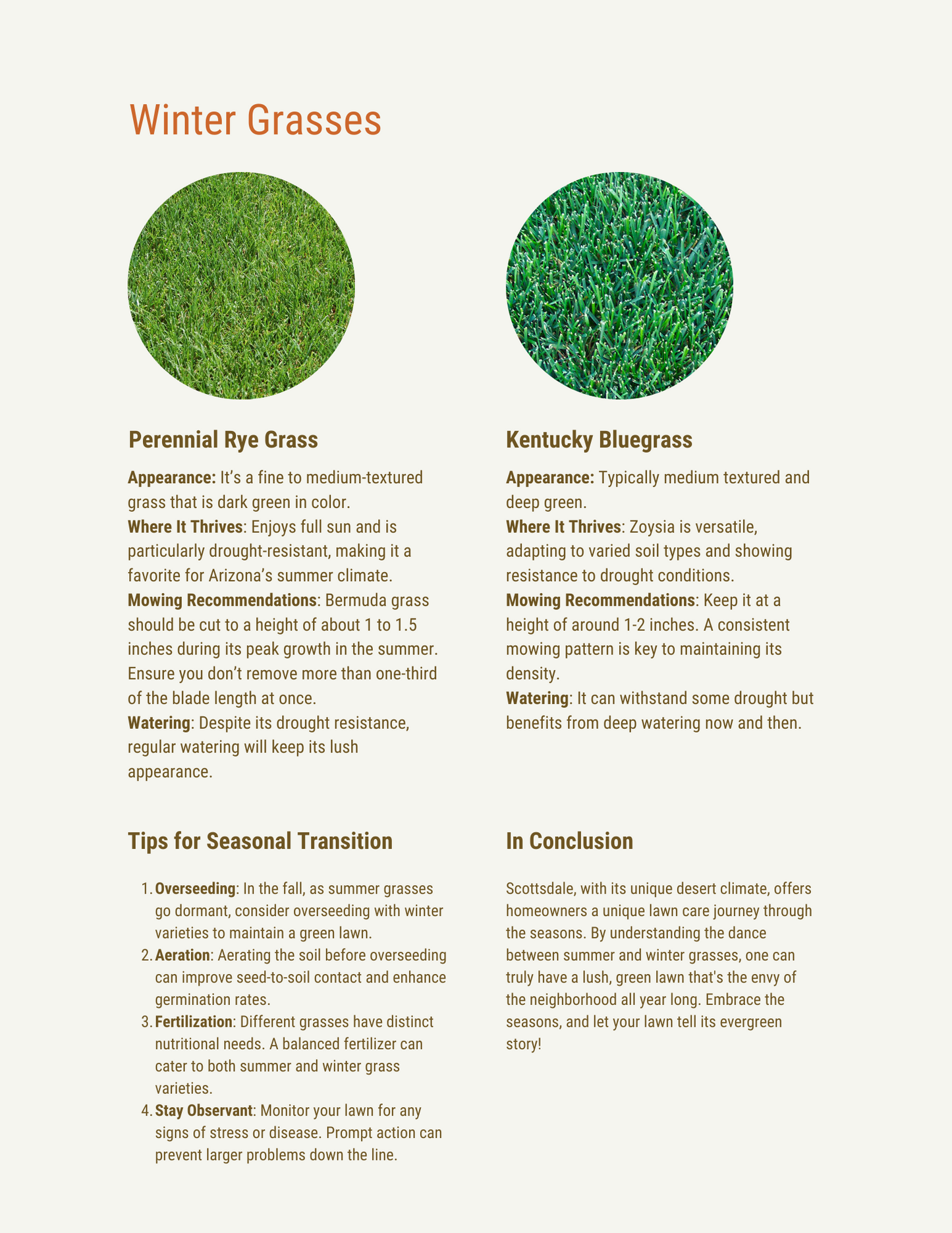 Green Gold: The Ultimate Guide on Arizona Outdoor Maintenance