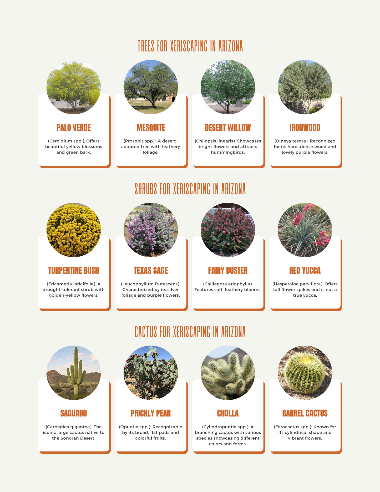 Green Gold - The Ultimate Guide On Arizona Xeriscaping & Native Plants