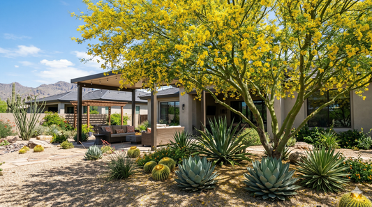 The Ultimate Guide to Shade Trees in Phoenix, Scottsdale & the East Valley