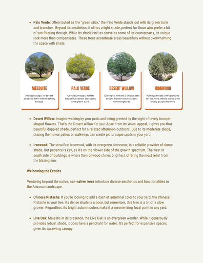 Green Gold - The Ultimate Guide To Landscape Shade Features In Arizona