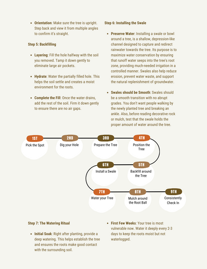 Green Gold - The Ultimate Guide To Landscape Shade Features In Arizona
