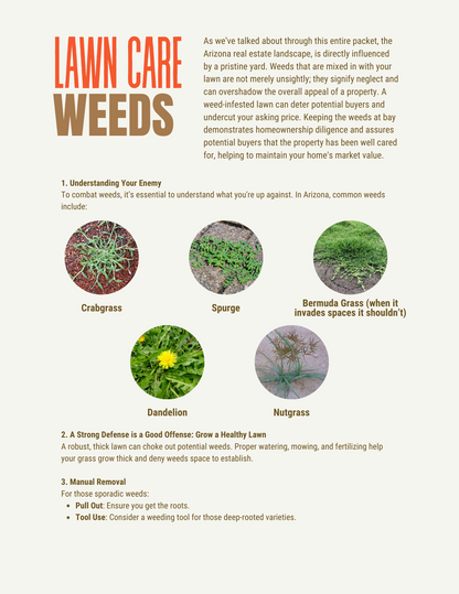 Green Gold: The Ultimate Guide on Arizona Outdoor Maintenance