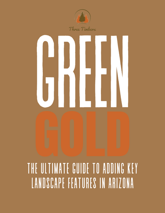 Green Gold - The Ultimate Guide To Adding Key Landscape Features In Arizona