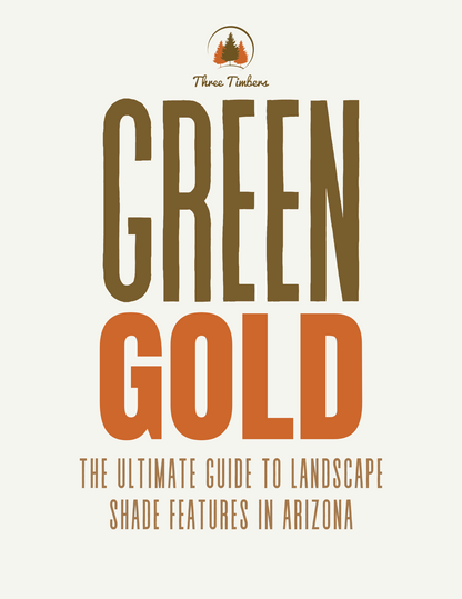 Green Gold - The Ultimate Guide To Landscape Shade Features In Arizona
