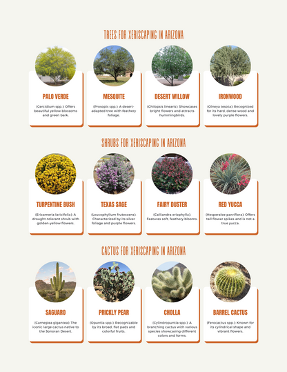 Green Gold - The Ultimate Guide To Elevating Home Value Through Landscaping