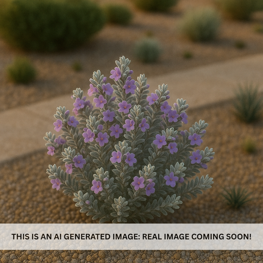 Thunder Cloud Sage